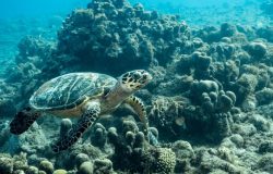 maracajau tours2
