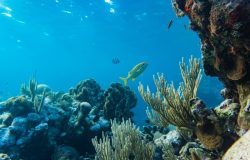 maracajau tours4