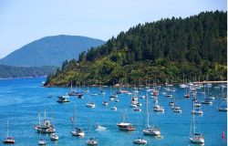 excursiones a ubatuba