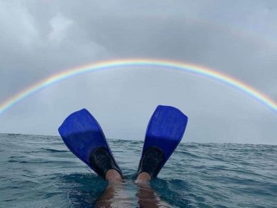 puerto de pollo snorkel3